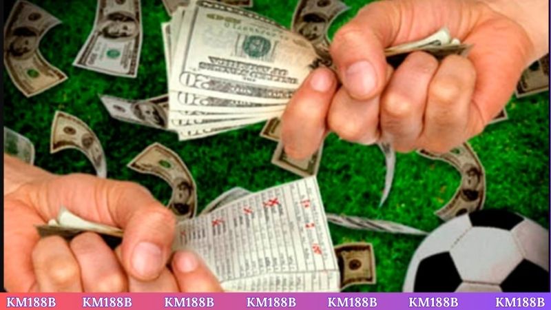 Học hỏi kinh nghiệm và xuống tiền hiệu quả